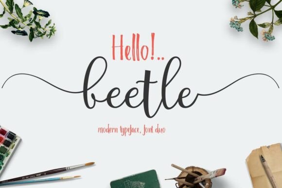 Beetle Duo Font: Where Whimsical Script Meets Structural Sans